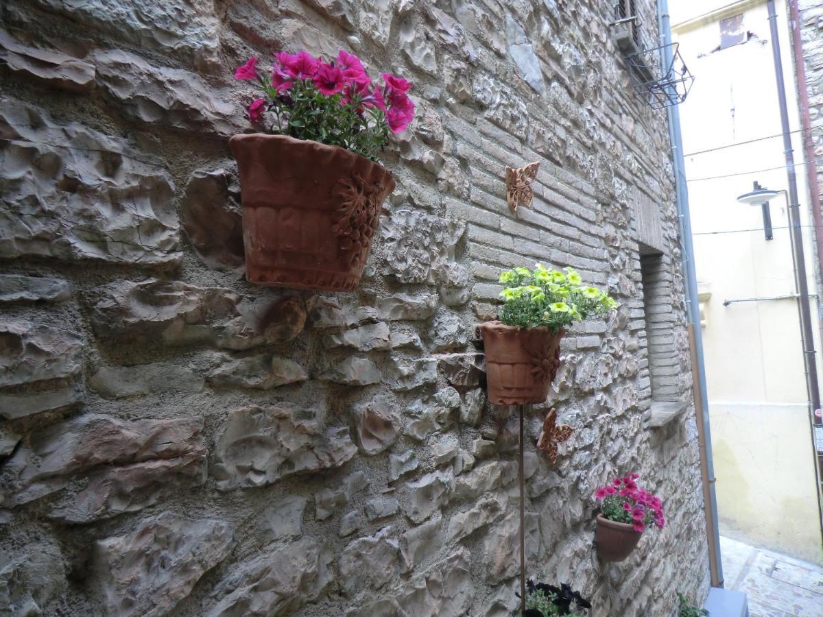 La Corta Di Spello Camere Dış mekan fotoğraf