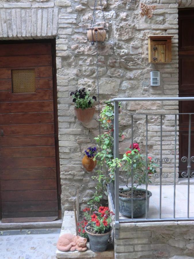 La Corta Di Spello Camere Dış mekan fotoğraf