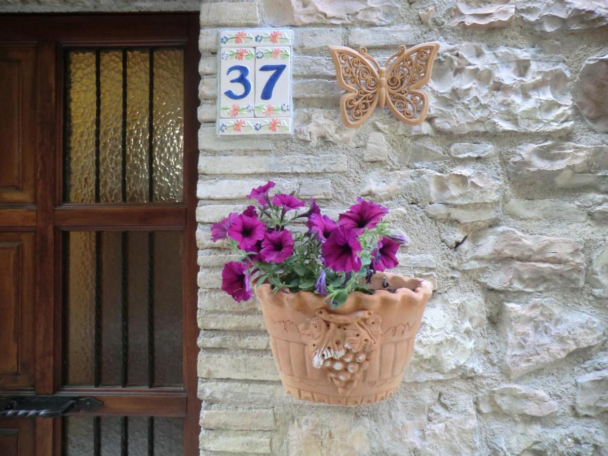 La Corta Di Spello Camere Dış mekan fotoğraf