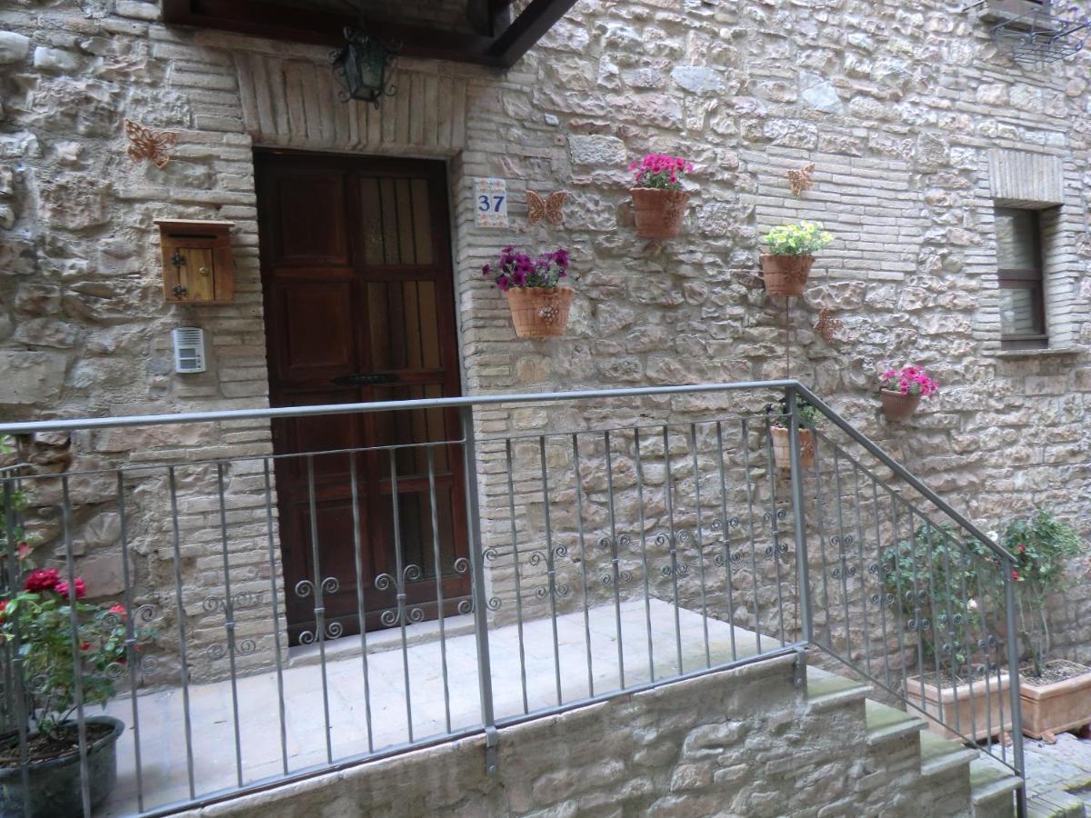 La Corta Di Spello Camere Dış mekan fotoğraf
