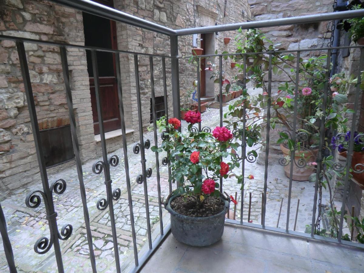 La Corta Di Spello Camere Dış mekan fotoğraf
