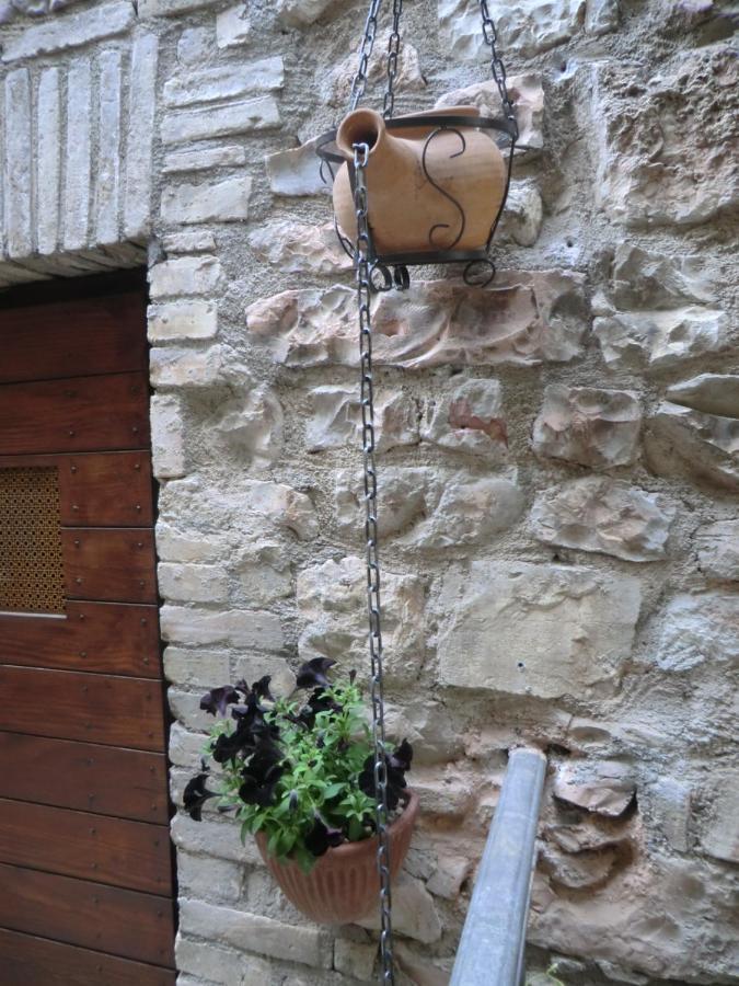 La Corta Di Spello Camere Dış mekan fotoğraf
